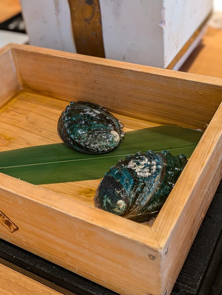 PXL_20240715_023059216.PORTRAIT