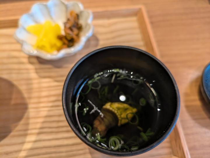 PXL_20240715_031121605.MP