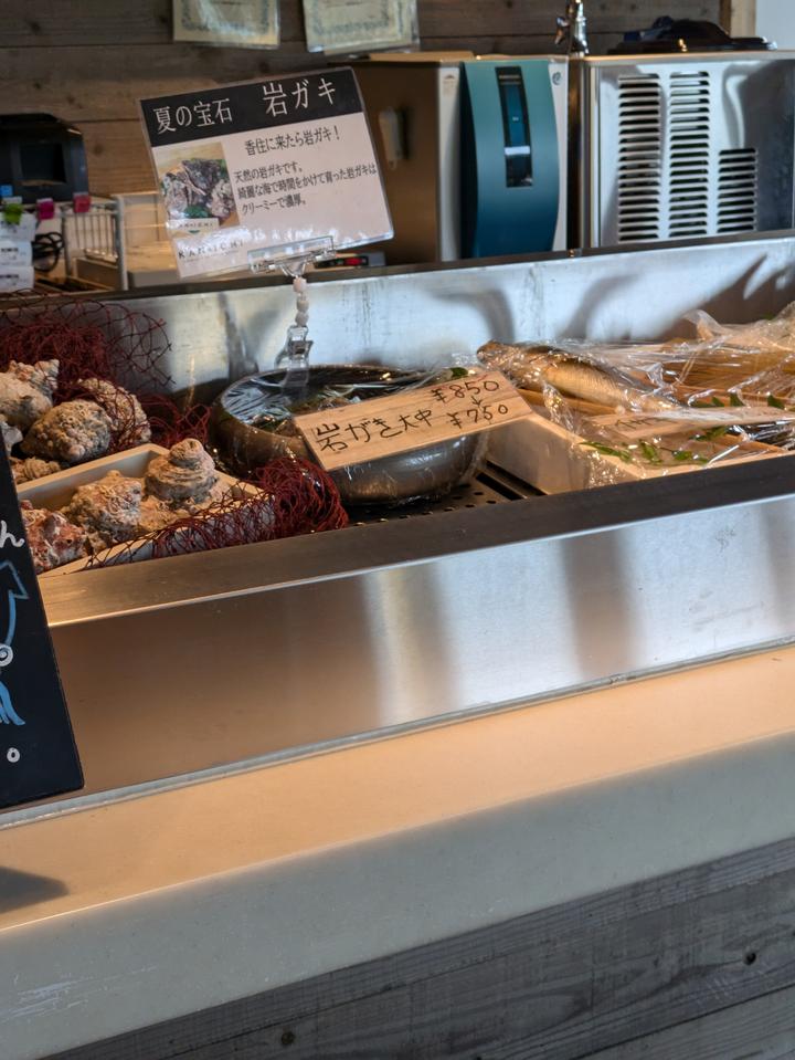 PXL_20240715_035859528